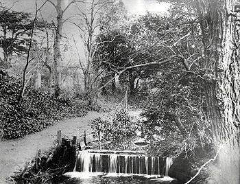 The waterfall in the Rectory garden [Z50/64/7]